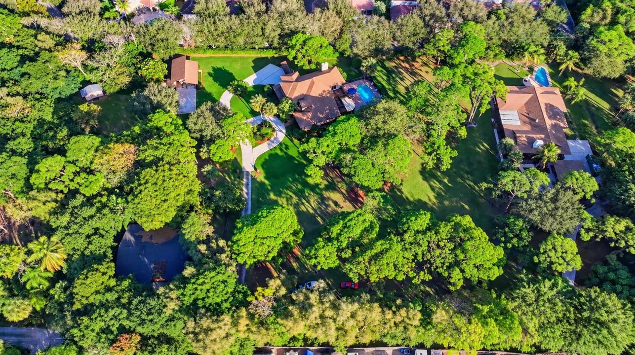 Aerial View of a Lush Estate