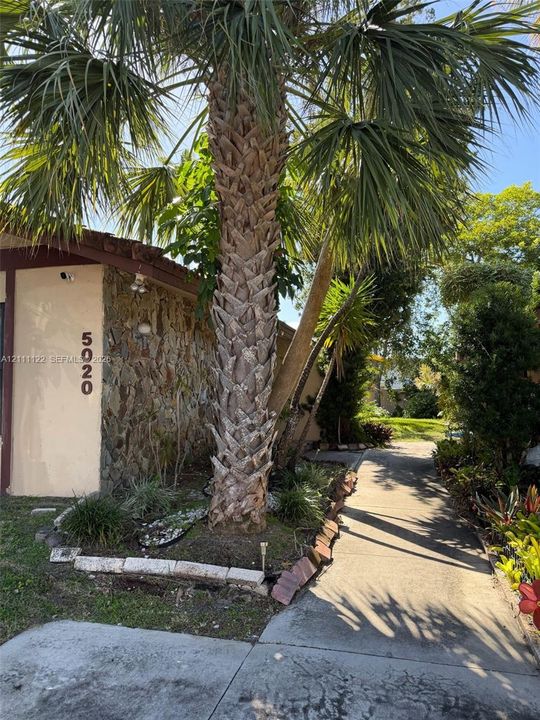 Exterior facade featuring stone veneer cladding, concrete walkway, and mature palm tree landscaping