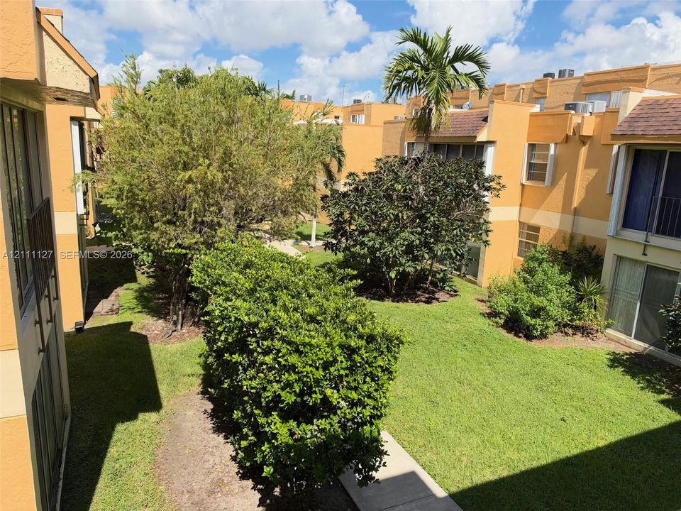 Communal courtyard featuring manicured lawn, established landscaping, mature palm trees, and paved walkways