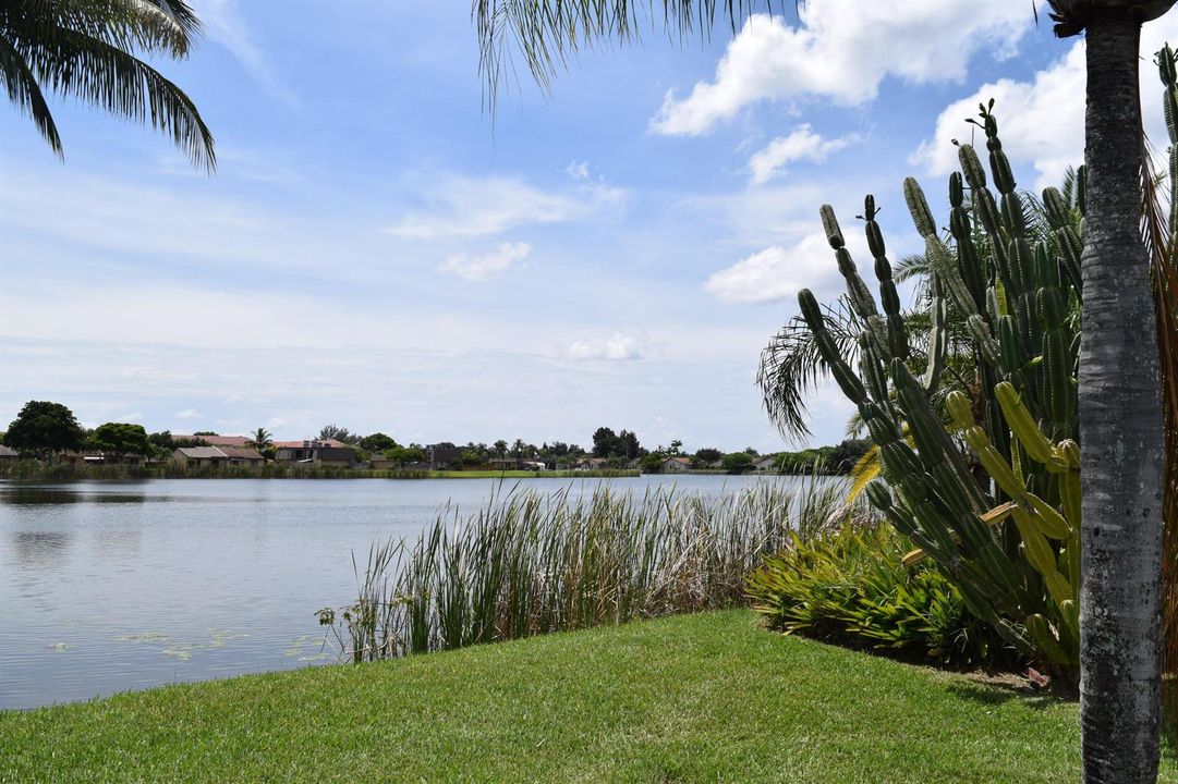 lake view 2