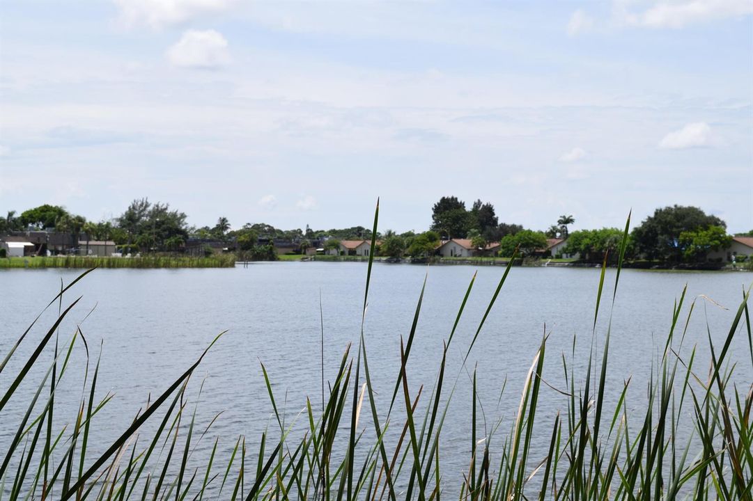 lake view