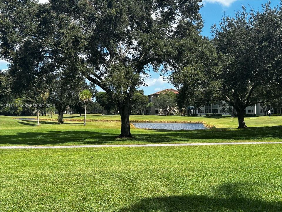 Expansive grounds featuring a manicured lawn, mature trees, a natural pond, and a paved path