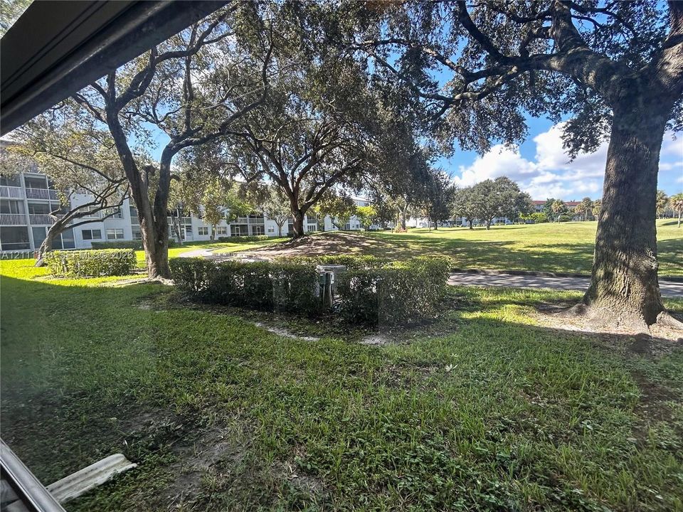 Ground-level outdoor space featuring a manicured lawn, mature oak trees, low-lying shrubbery, and paved pathway access