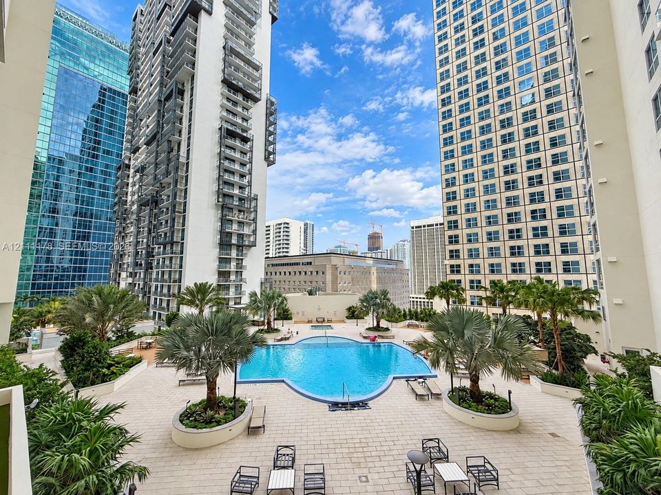 Outdoor terrace featuring an expansive swimming pool, paver hardscaping, built-in planters, and palm tree landscaping