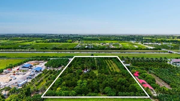 Expansive acreage featuring mature fruit tree groves, dense perimeter vegetation, and established agricultural planting rows
