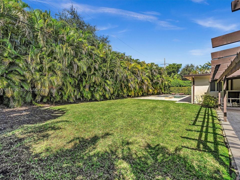 Backyard featuring a grass lawn, mature perimeter palm trees, a swimming pool, and an attached wood pergola
