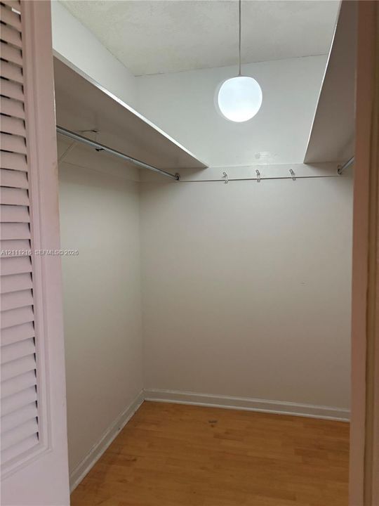 Walk-in closet featuring wood-finish flooring, built-in shelving, metal garment rods, wall-mounted hooks, and spherical pendant lighting