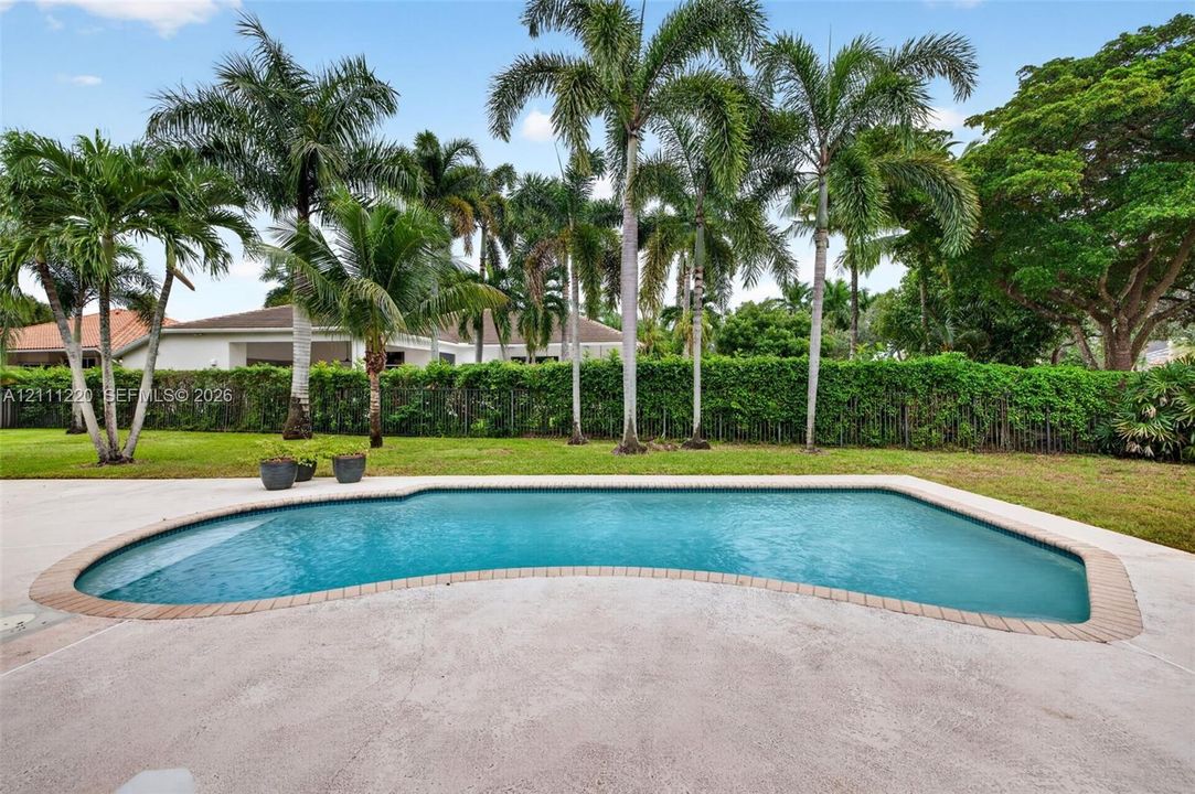 Outdoor pool featuring a masonry border, concrete patio, mature palm trees, and perimeter hedging