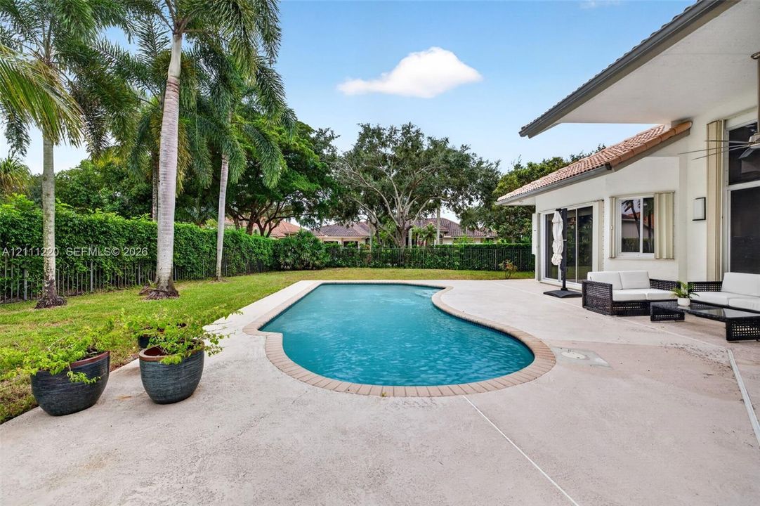 Backyard featuring an in-ground swimming pool, concrete patio, perimeter hedges, and palm trees