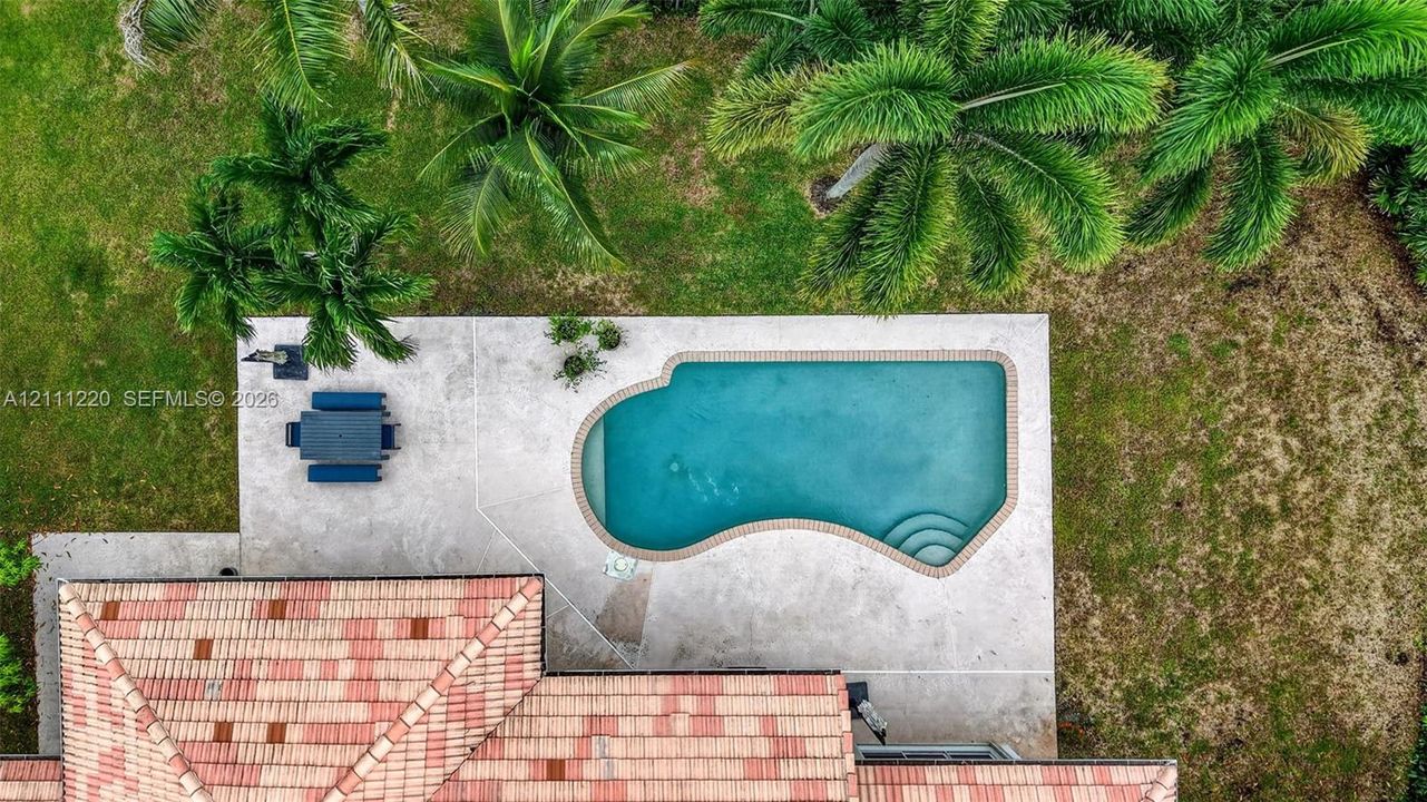 Aerial view of a sprawling property featuring an expansive concrete pool deck, in-ground swimming pool with integrated steps, terra-cotta tile roofing, and mature palm trees