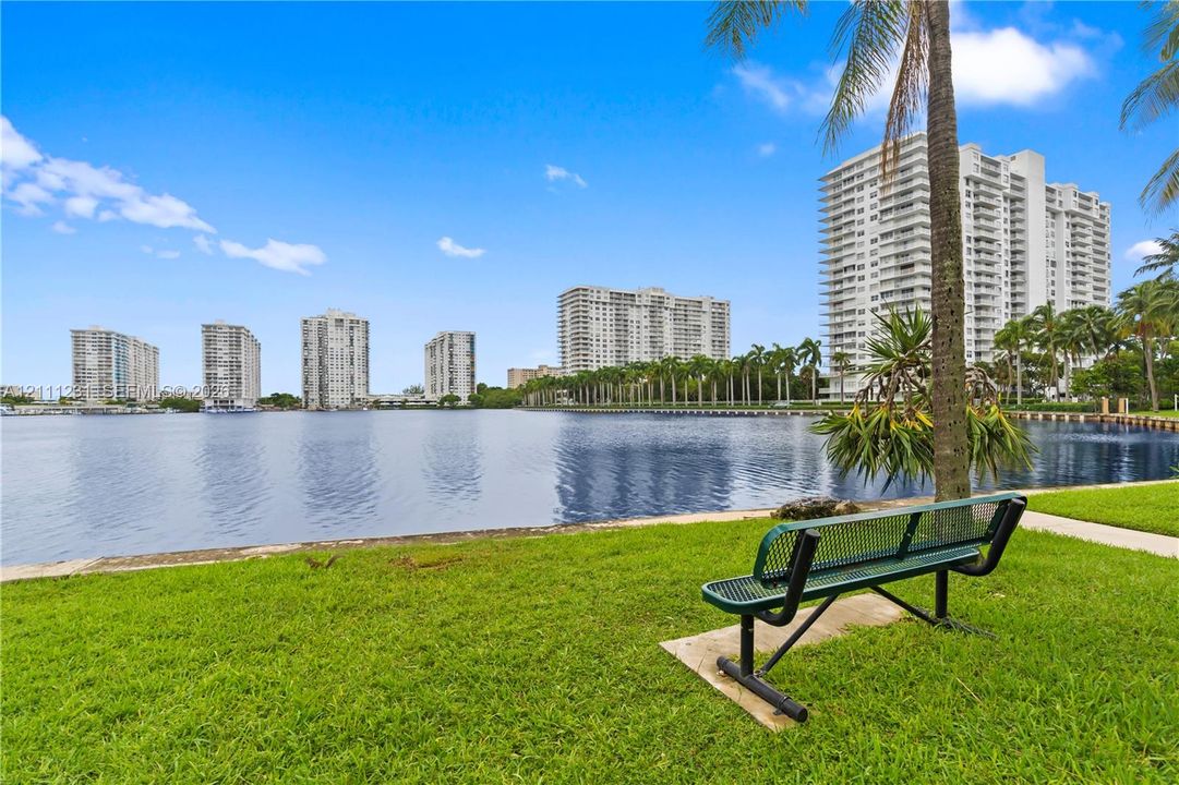 Waterfront grounds featuring a manicured lawn, paved walkways, mature palm trees, and a fixed metal bench