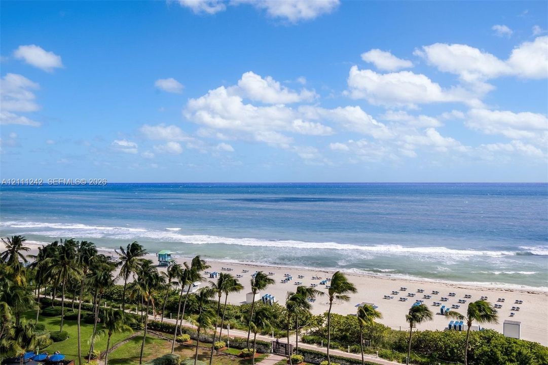 Direct coastal frontage featuring a sandy beach, expansive ocean horizon, and mature palm tree landscaping