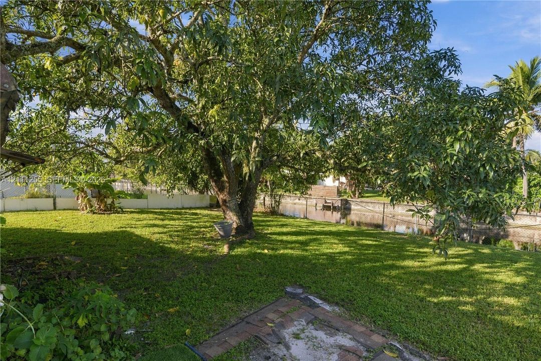 Expansive backyard featuring mature tree canopy, waterfront canal frontage, brick paver patio, and chain-link perimeter fencing