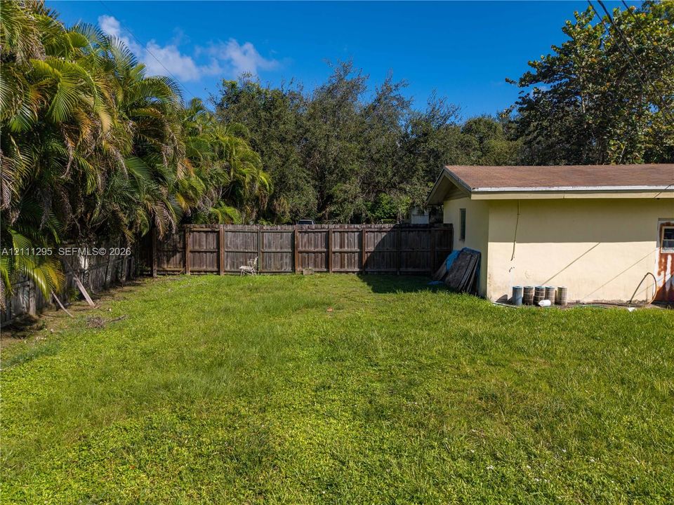 Backyard featuring a grass lawn, perimeter wood fencing, and mature palm trees