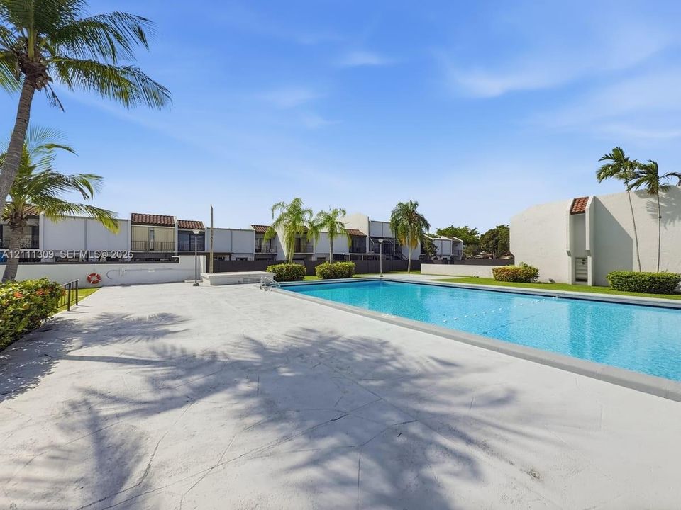 Rectangular swimming pool featuring a concrete deck, perimeter landscaping, and mature palm trees