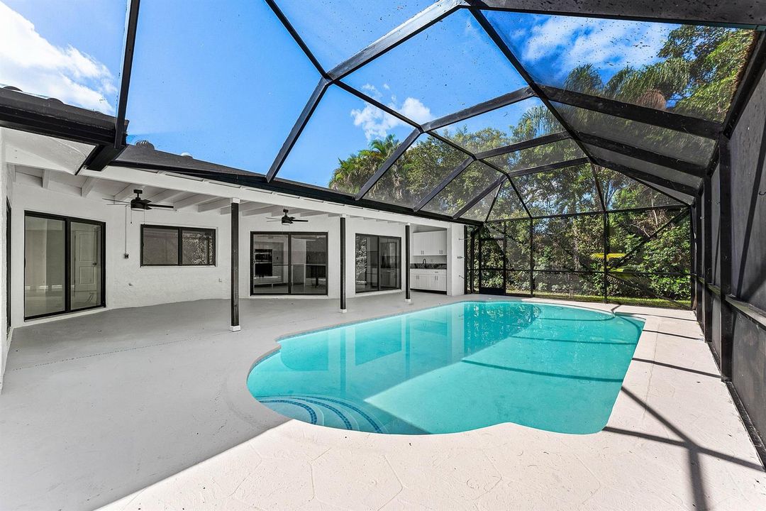 Backyard oasis