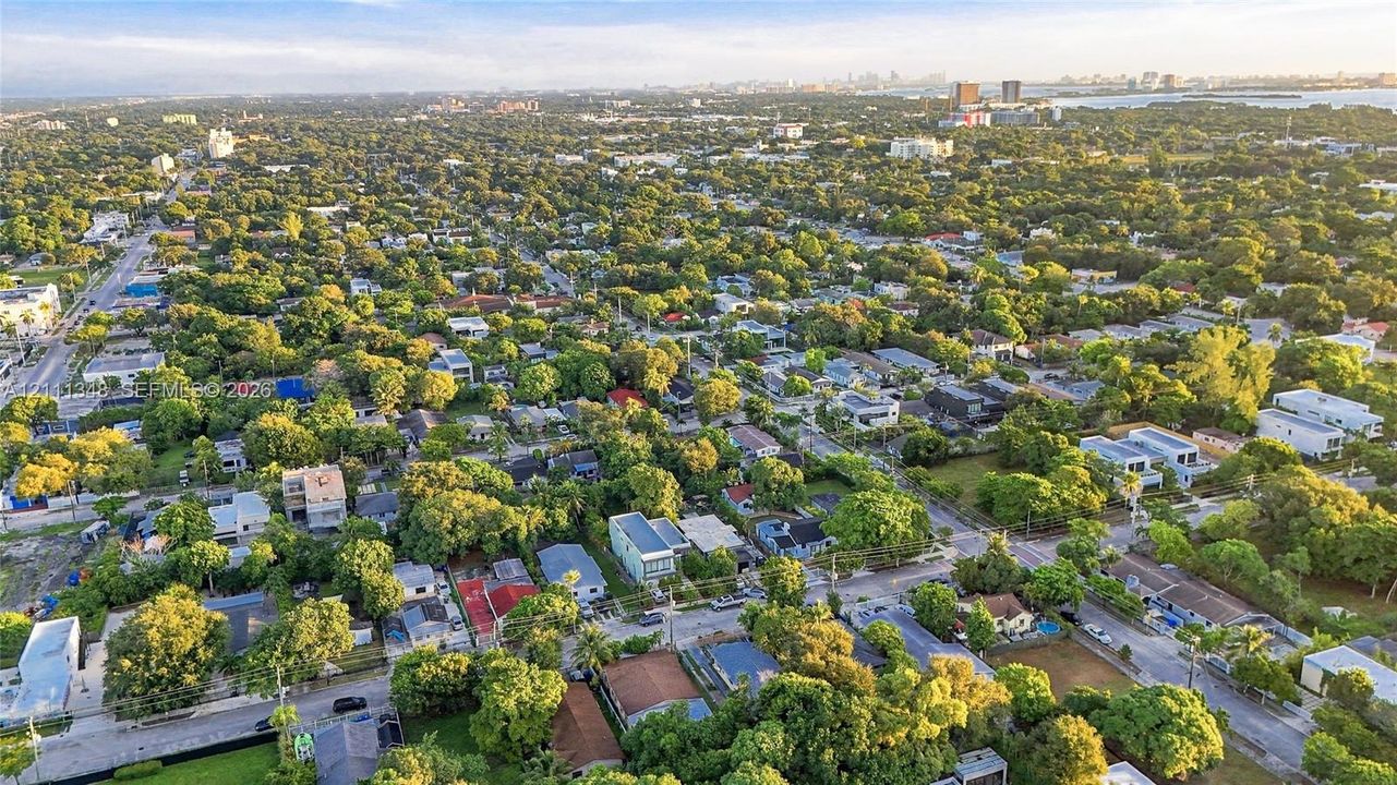 Aerial perspective of a suburban landscape featuring mature canopy trees, grid-patterned streets, dense residential density, and proximity to coastal waters