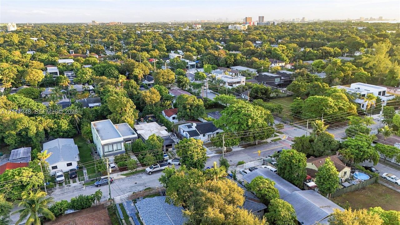 Aerial perspective featuring a dense canopy of mature trees and established residential infrastructure