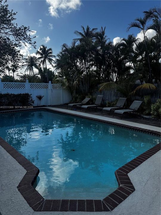 In-ground swimming pool featuring a brick-tiled perimeter, concrete deck, and white lattice fencing surrounded by mature palm trees