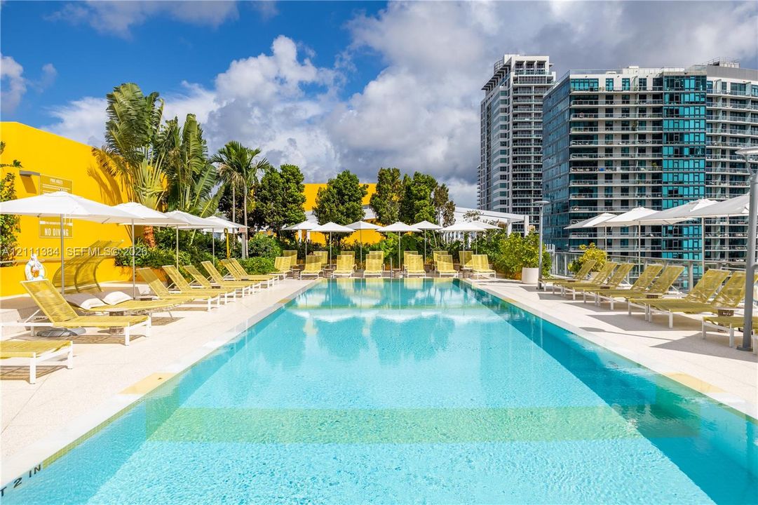 Rectangular swimming pool featuring a light-toned paved deck and tropical landscaping