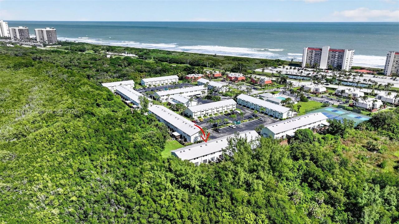 Aerial perspective of a multi-unit residential complex featuring metal roofing and proximity to coastal shoreline and natural vegetation
