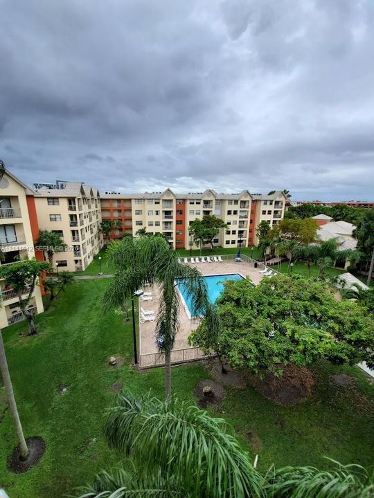 Community swimming pool surrounded by landscaped lawn, mature trees, and multi-story residential buildings