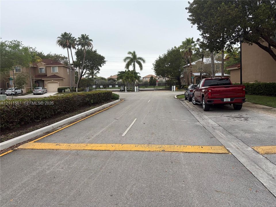 Paved asphalt street featuring curbside parking, manicured hedge landscaping, and mature palm trees