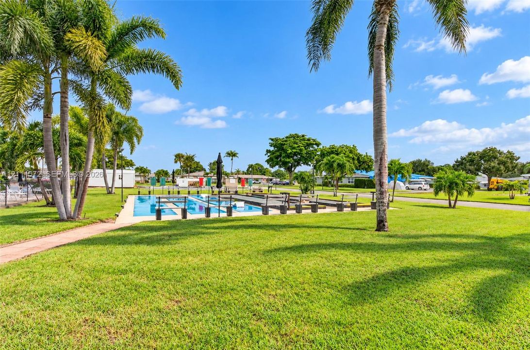 Swimming pool with concrete decking surrounded by expansive lawn, mature palm trees, and perimeter fencing