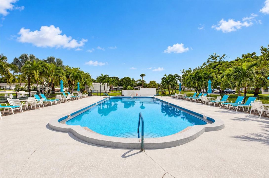 In-ground swimming pool featuring a concrete deck and perimeter fencing surrounded by mature palm trees