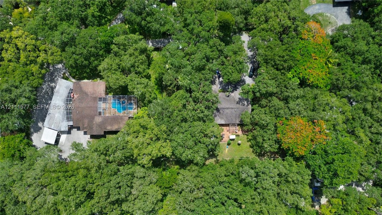 Aerial perspective of a multi-structure property featuring a screened-in swimming pool, shingled roofing, mature tree canopy, and paved driveway