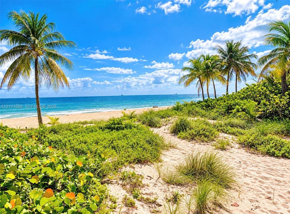 Sandy path featuring coastal vegetation, mature palm trees, and direct oceanfront access