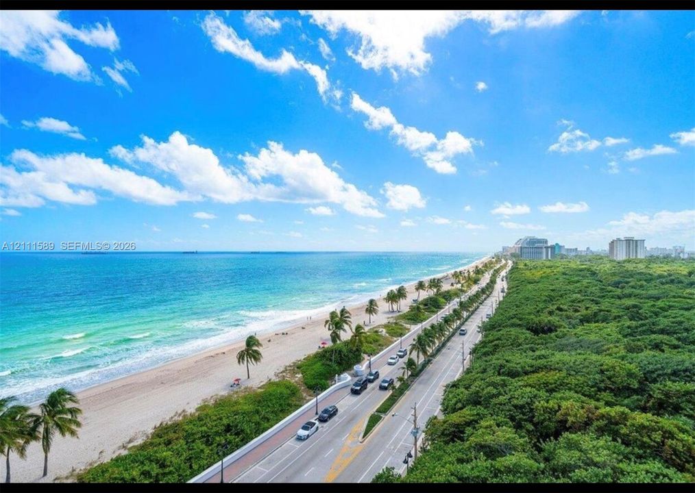 Coastal panorama featuring an expansive shoreline, turquoise waters, and lush canopy of mature trees