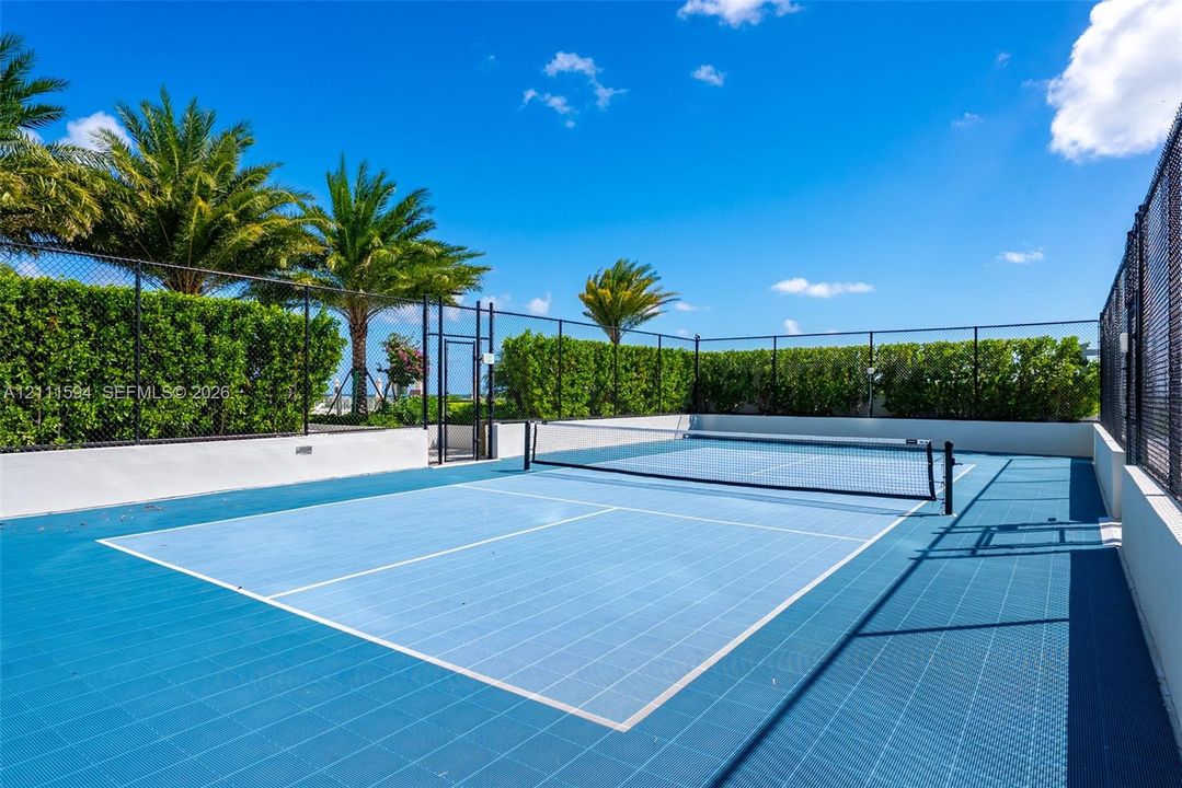 Private pickleball court featuring a blue modular surface, perimeter chain-link fencing, and manicured hedge privacy screening