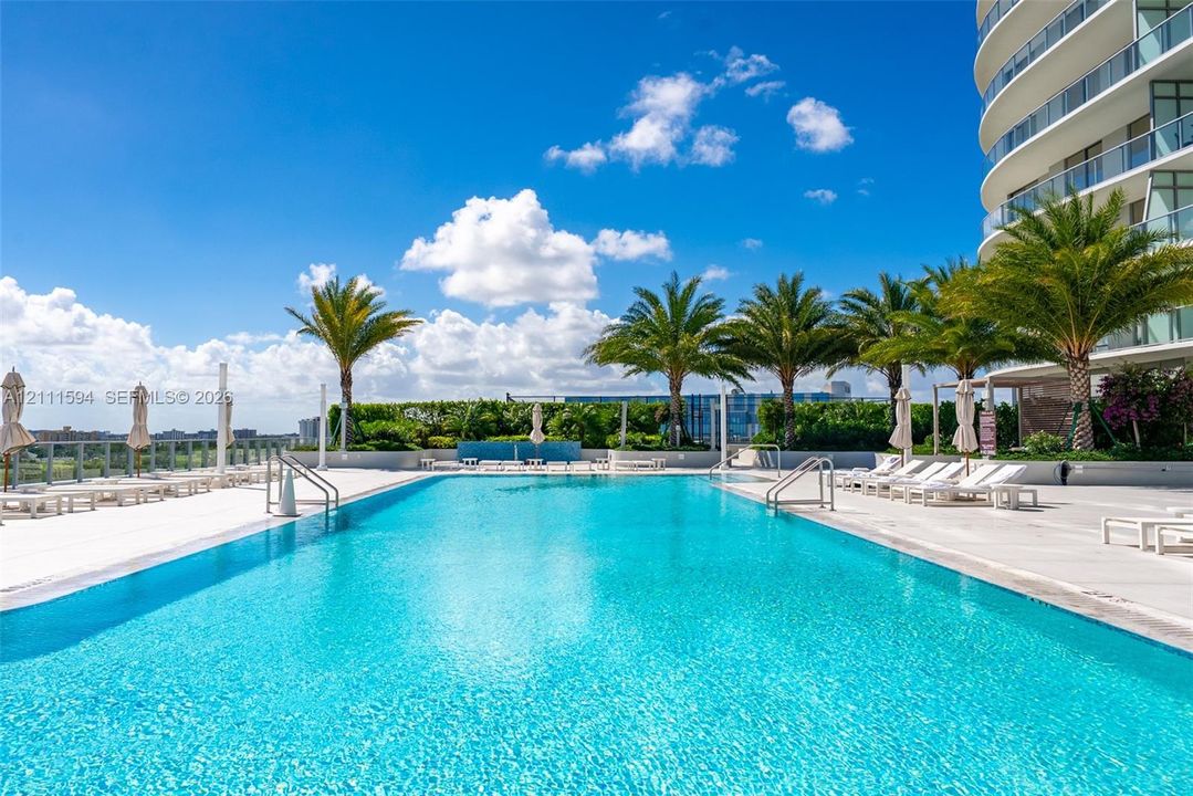 Large rectangular swimming pool with metal pool ladders and paved deck, surrounded by mature palm trees and manicured privacy hedging