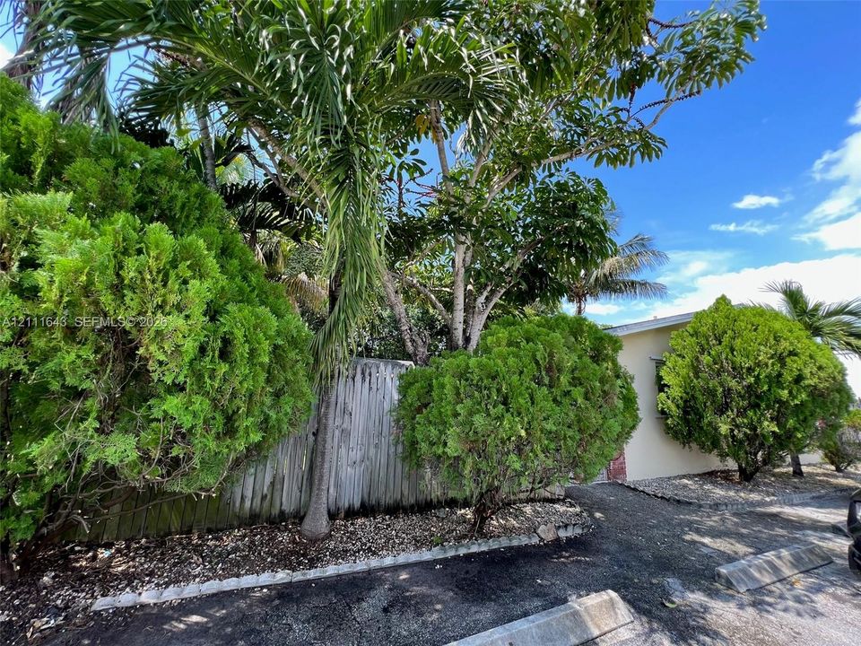 Exterior grounds featuring mature palm and evergreen trees, wood-slat fencing, and decorative stone landscaping