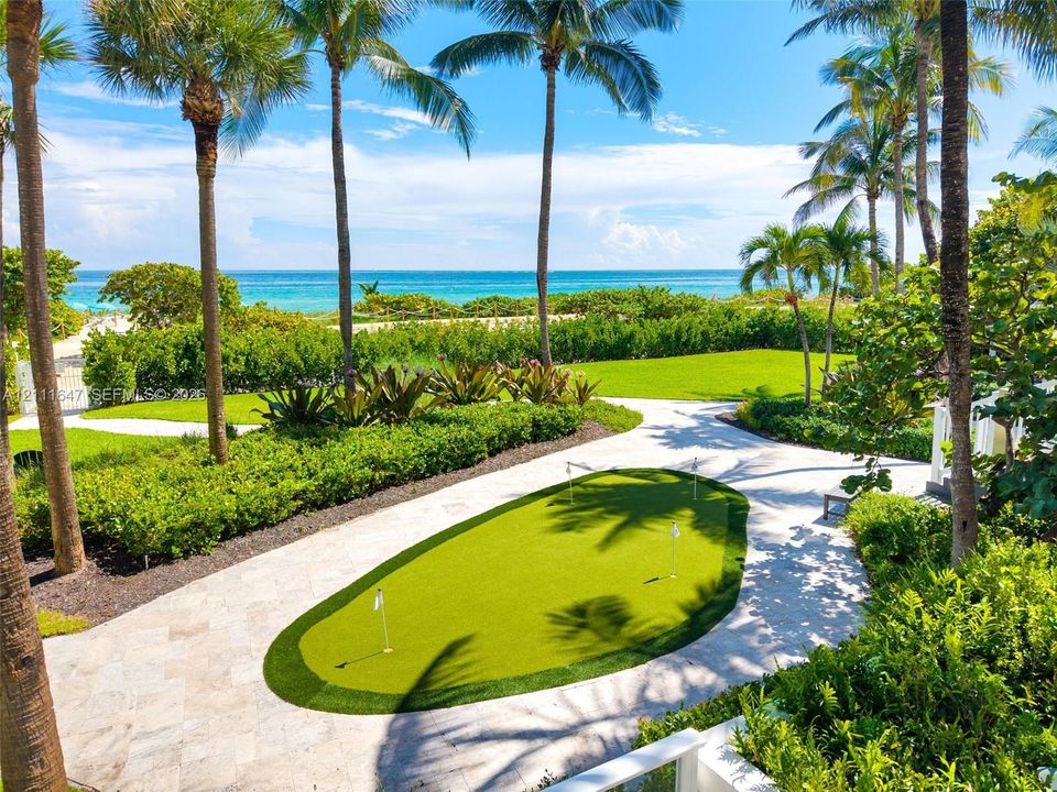 Putting green with synthetic turf, stone-paved patio, manicured lawn, and mature palm trees