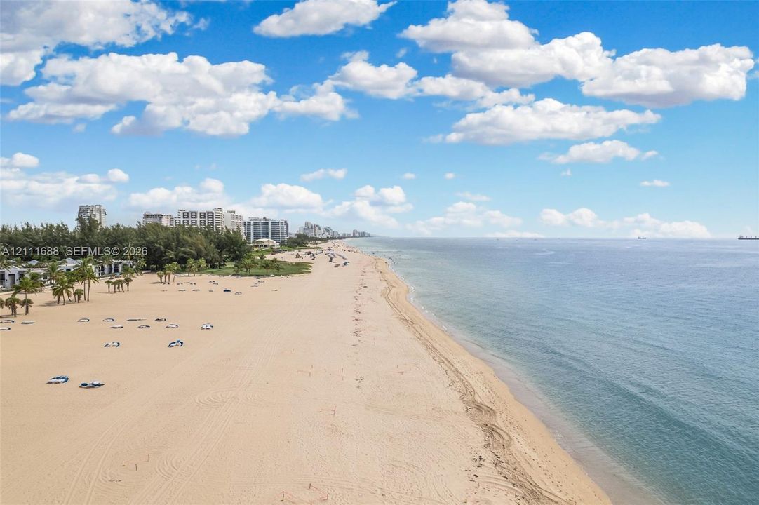 Sandy shoreline featuring native palm trees and proximity to open coastal waters