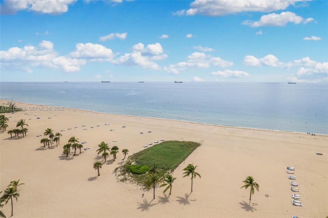 Direct oceanfront access featuring expansive sandy shoreline, scattered mature palms, and open water horizon