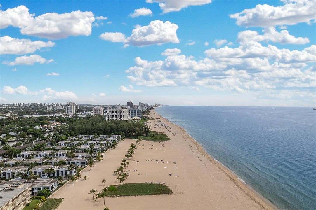 Coastal aerial photography featuring direct shoreline access, expansive sandy beaches, and mature palm trees