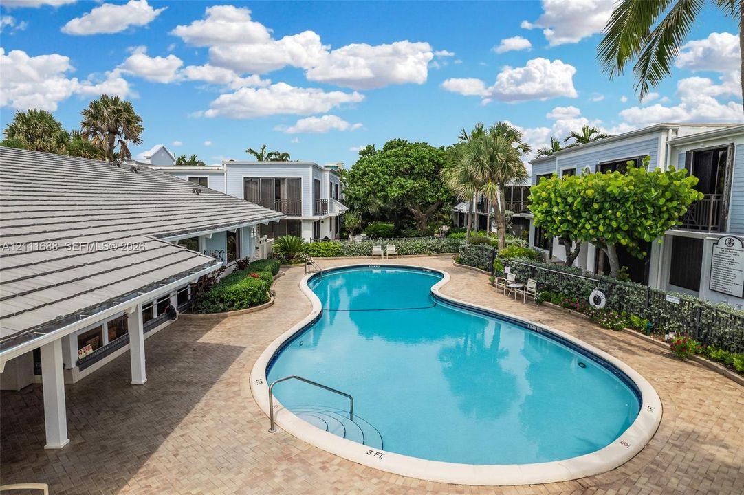 Curvilinear swimming pool featuring a paver stone deck and surrounding mature landscaping