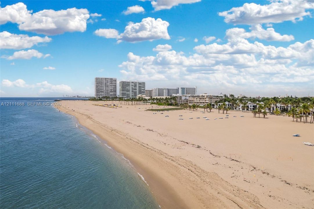 Sandy shoreline featuring direct ocean access and coastal palm tree landscaping