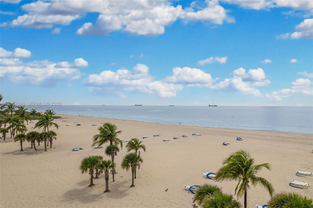 Sandy coastline featuring expansive shoreline and mature palm trees