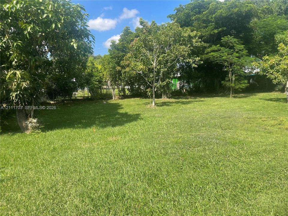 Expansive grass lawn featuring mature trees and perimeter chain-link fencing