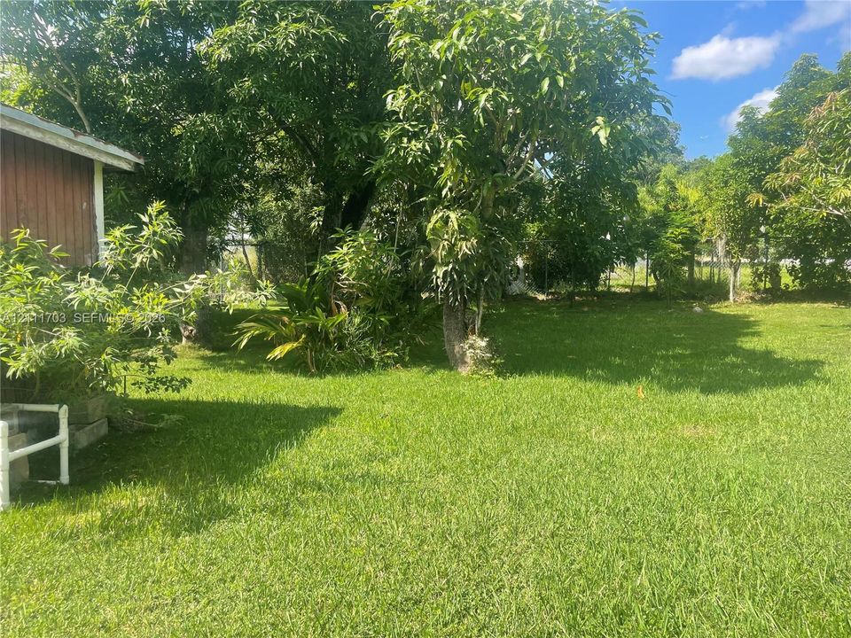 Expansive rear grounds featuring a grass lawn, mature trees, and perimeter chain-link fencing