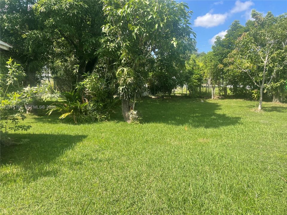 Expansive backyard featuring mature trees, established greenery, and a grass lawn