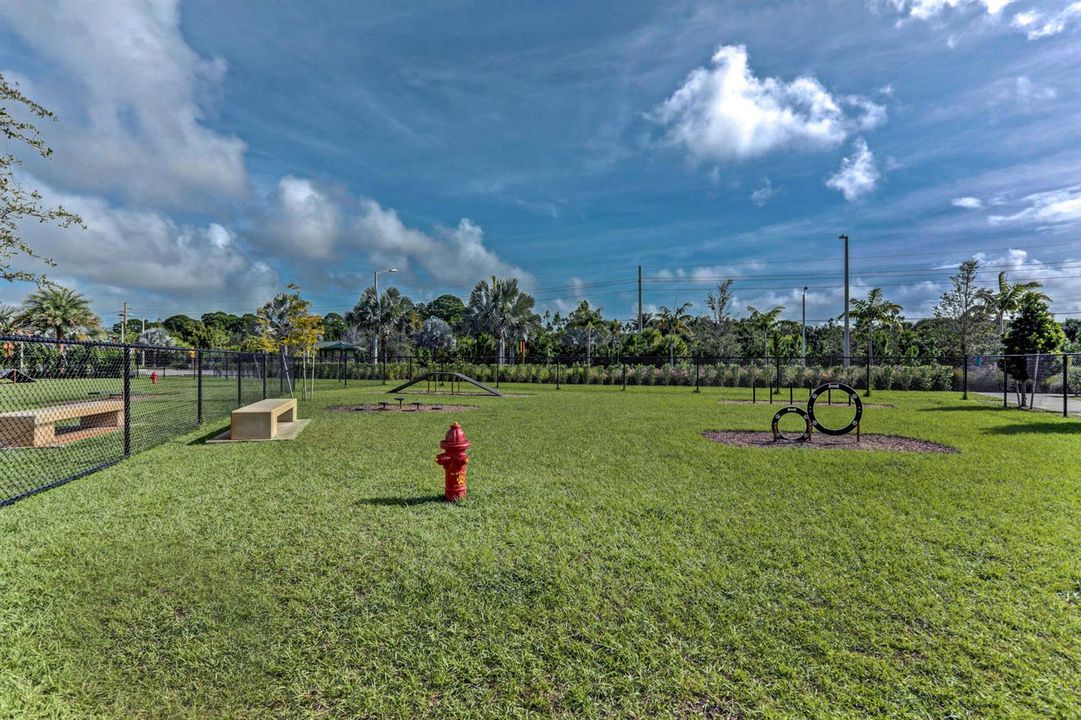 Dog Park