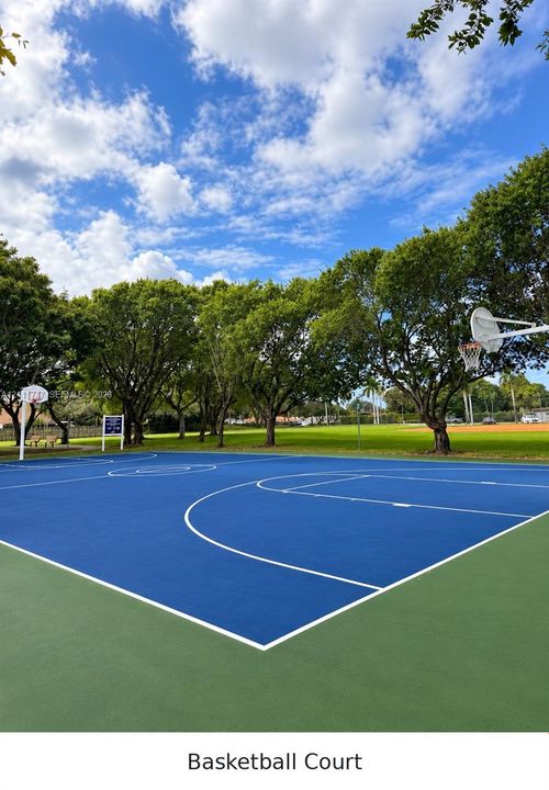 Hard-surfaced outdoor basketball court featuring two goal hoops, painted court markings, and perimeter landscaping with mature trees