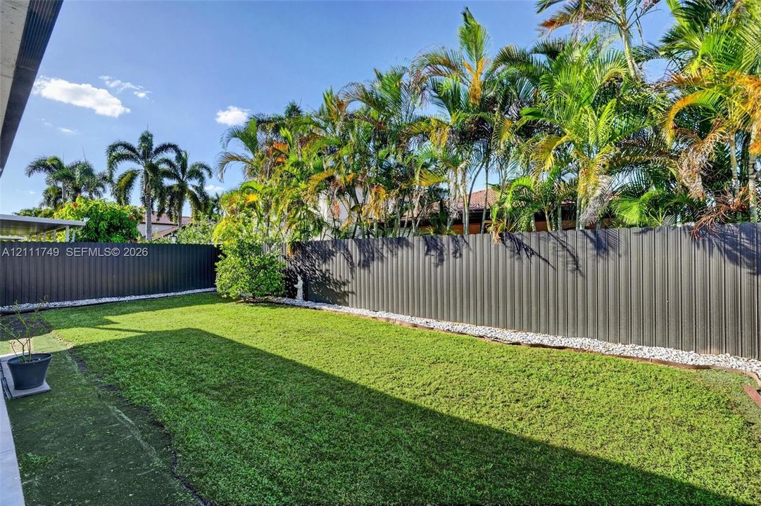 Backyard featuring a grass lawn, decorative stone border, and perimeter metal fencing shaded by mature palm trees