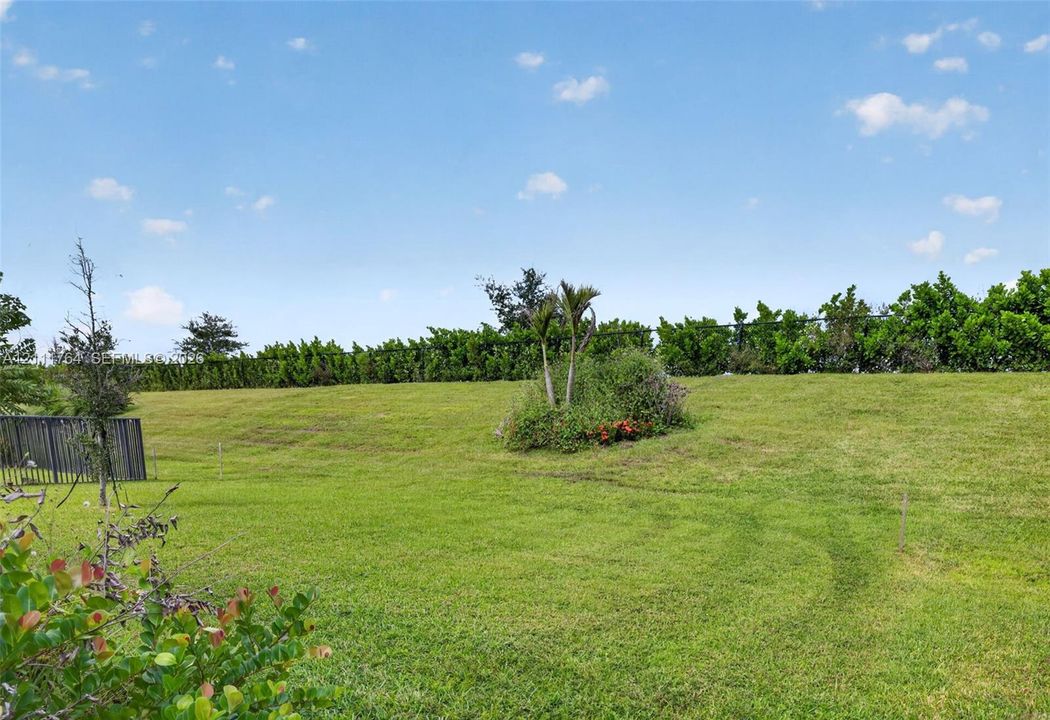 Expansive grass lawn featuring mature shrubbery and a perimeter hedge line