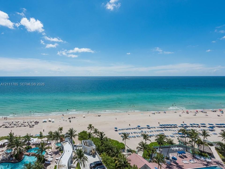 Oceanfront perspective featuring a sandy beach, turquoise water, mature palm trees, and an outdoor swimming pool